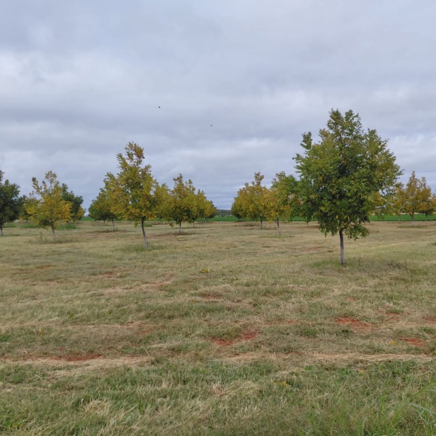 Commercial Property for Sale in Warrenton Northern Cape